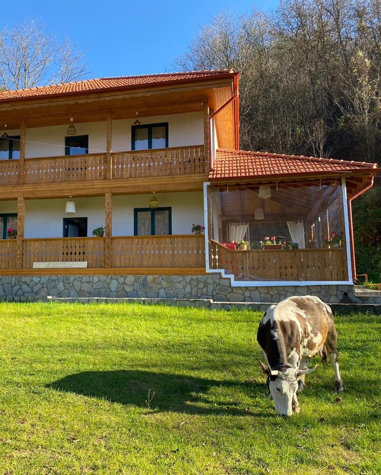Bed and Breakfast Casa Lila Colti Exteriér fotografie